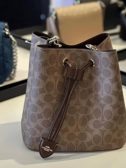 Rowan Bucket Bag In Signature Canvas