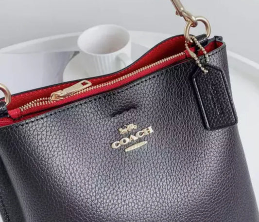 Coach Mollie Bucket Bag 22