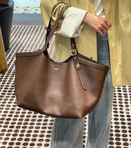 COACH in Brown