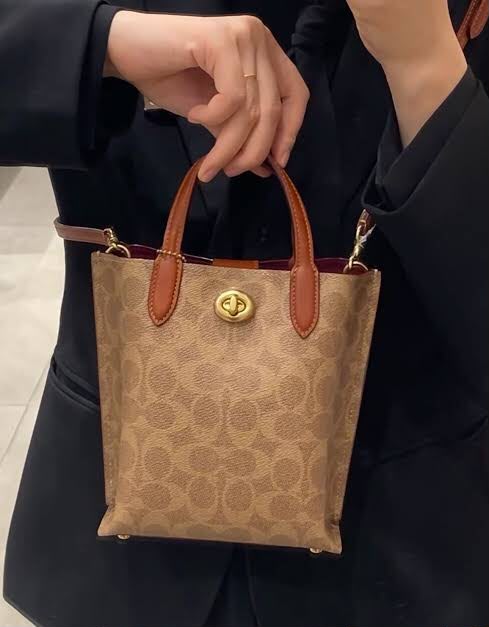COACH in Brown