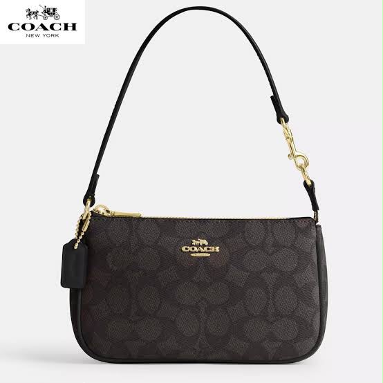 COACH in Brown