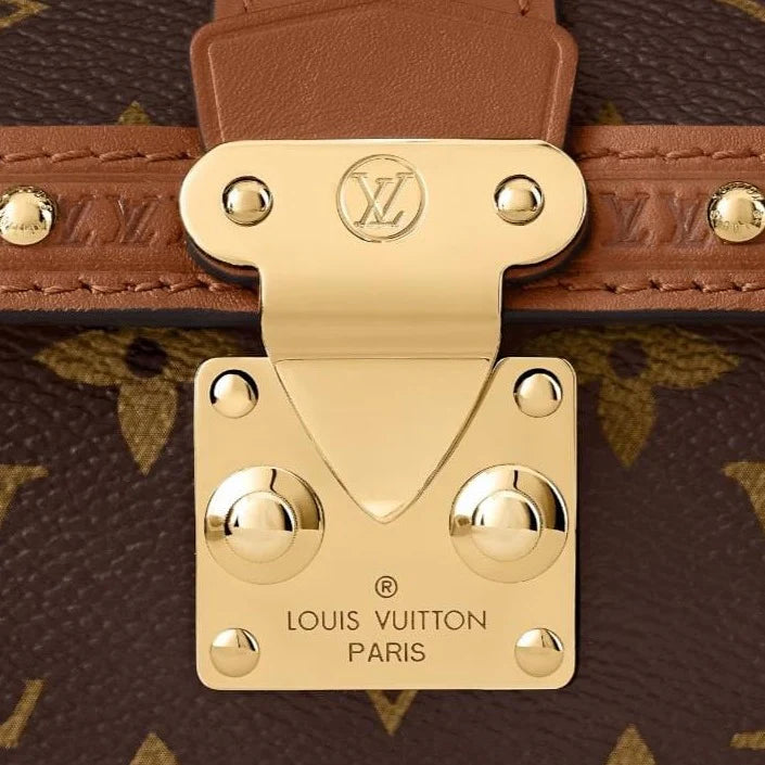 Louis Vuitton Papillon Trunk Bag Brown